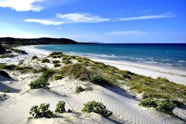 Irgoli Gulf Of Orosei Luxury Mediterranean Houseヴィラ エクステリア 写真